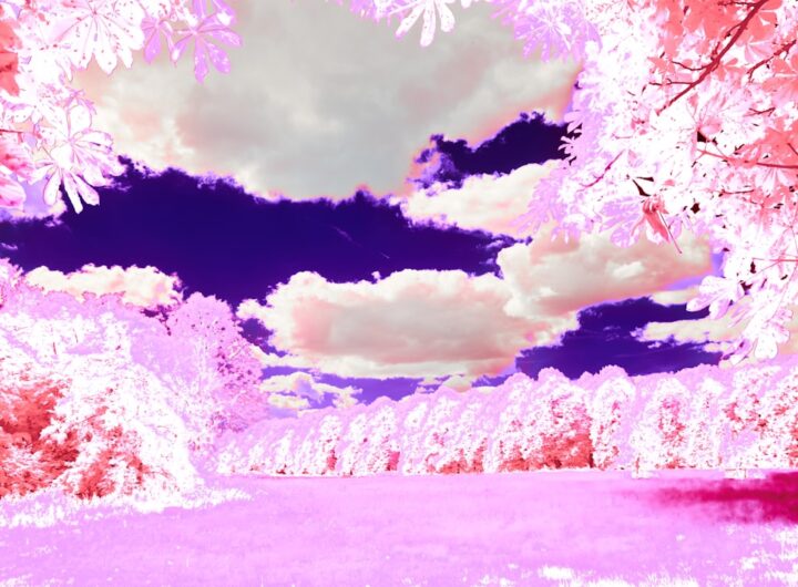 Photo Dream interpretation