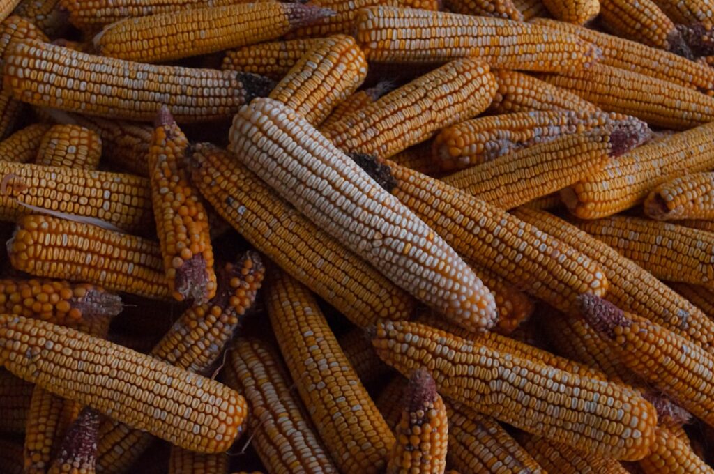 Photo differentiation