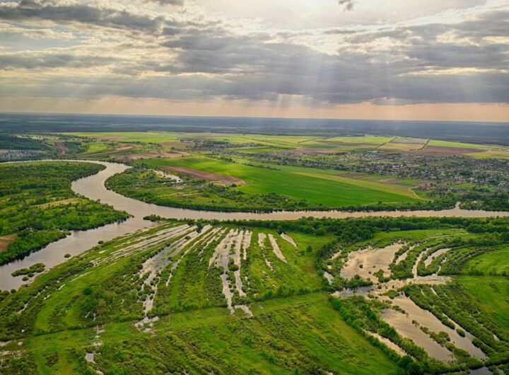 Photo sell on Amazon Romania