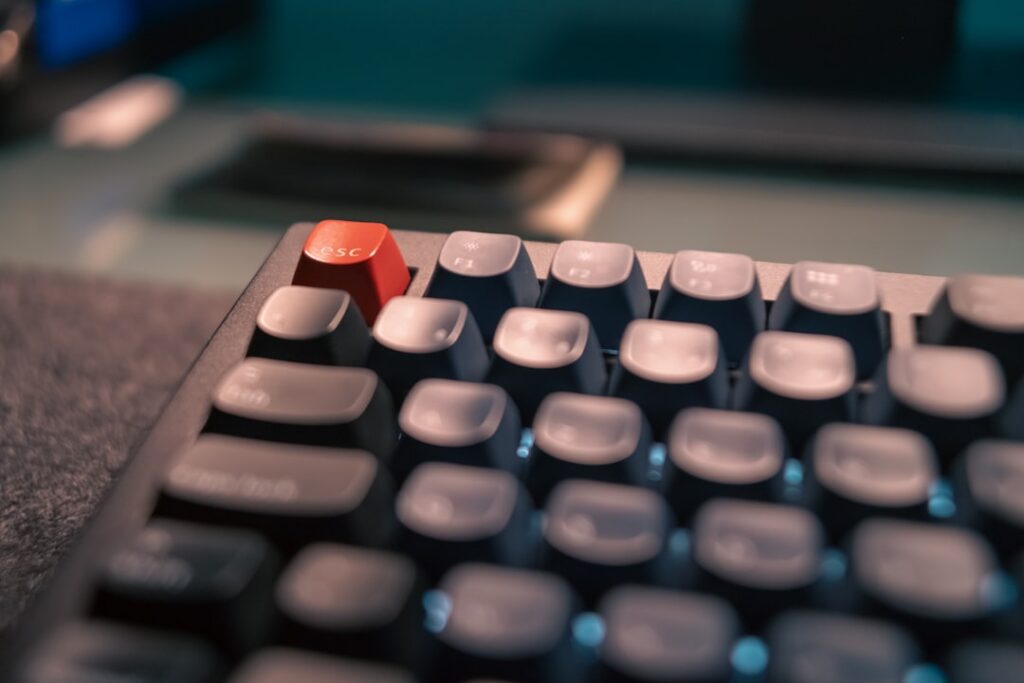 Photo contabilitatea pentru freelanceri