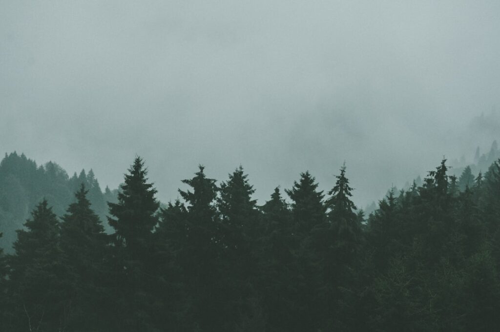 Photo optimize website conversions