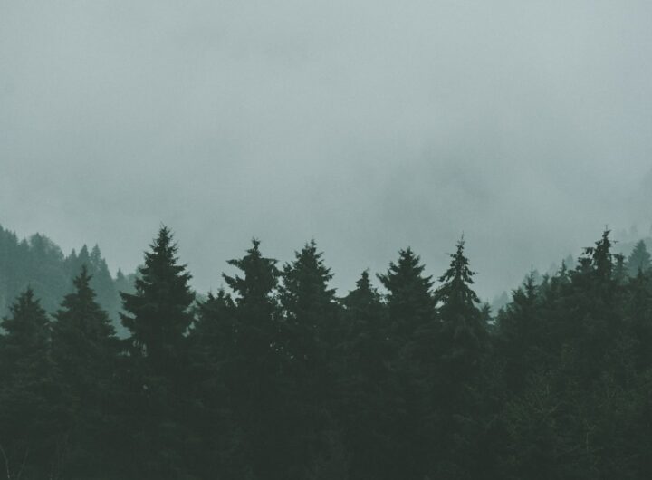 Photo optimize website conversions
