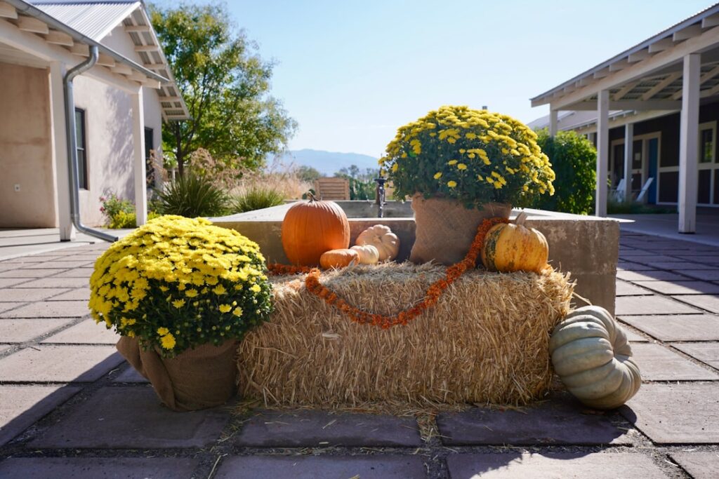 Photo marketing seasonal