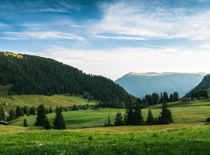 Photo attract customers