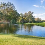 Photo marketing viral