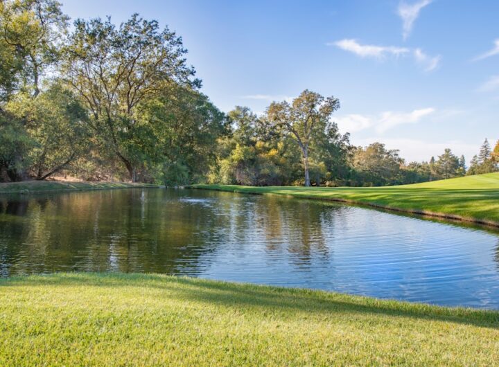 Photo marketing viral