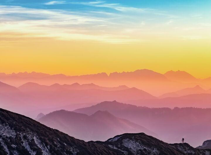 Photo planifici creșterea