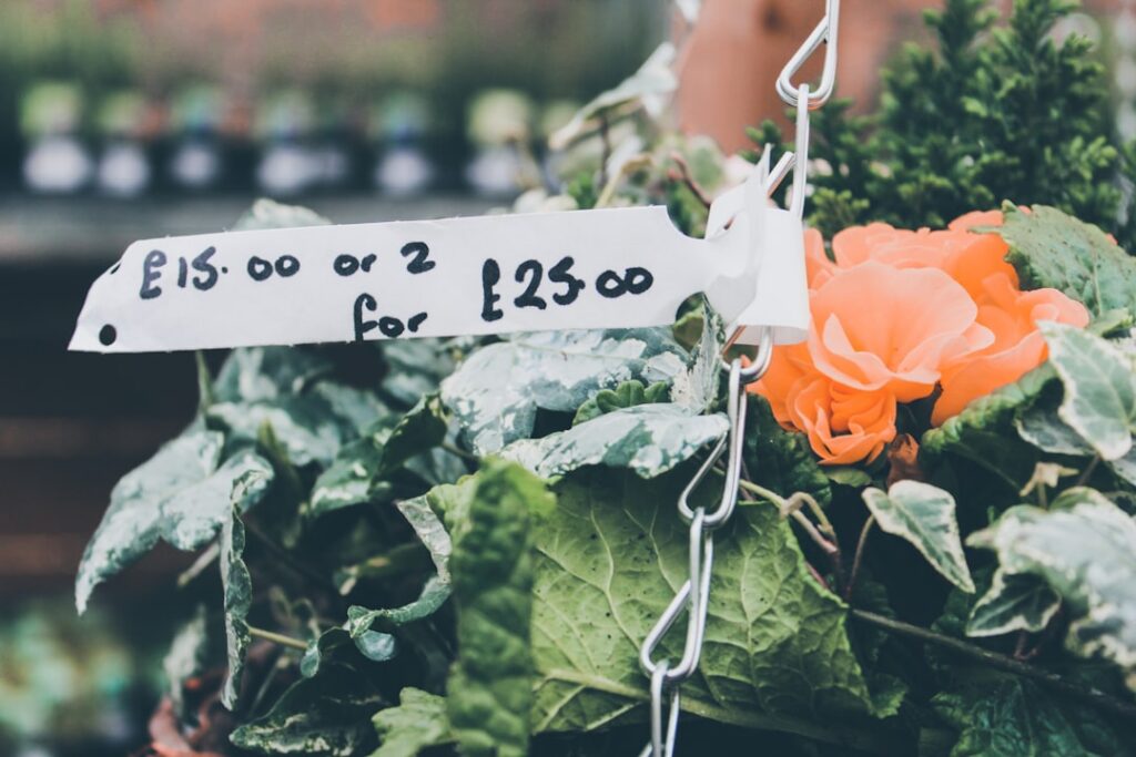 Photo pricing strategies