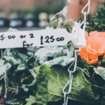 Photo pricing strategies