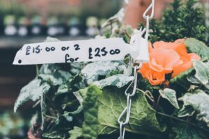 Photo pricing strategies