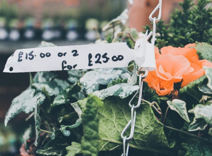 Photo pricing strategies