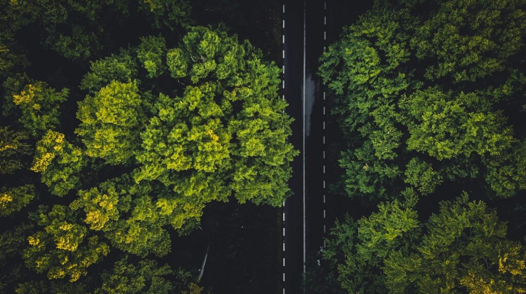 Photo sustainability