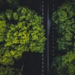 Photo sustainability