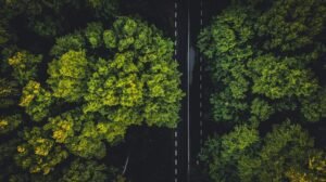Photo sustainability