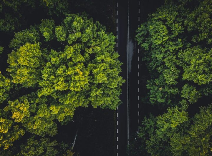Photo sustainability